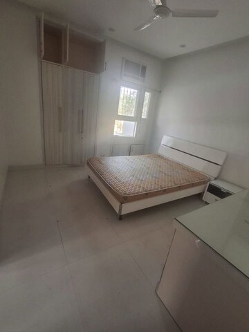 Living Room in 2 BHK Builder Floor at Hauz Khas Enclave – for Rent