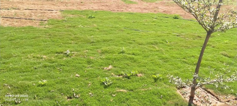 Garden, kodigehalli  1027 Sq.Ft. Plot In Kodigehalli Bangalore 9965318