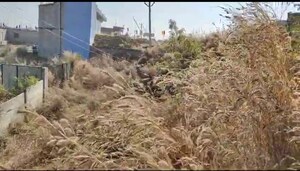 Plot Area in  Plot at Sukurhutu – for Sale