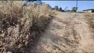 Plot Area in  Plot at Sukurhutu – for Sale