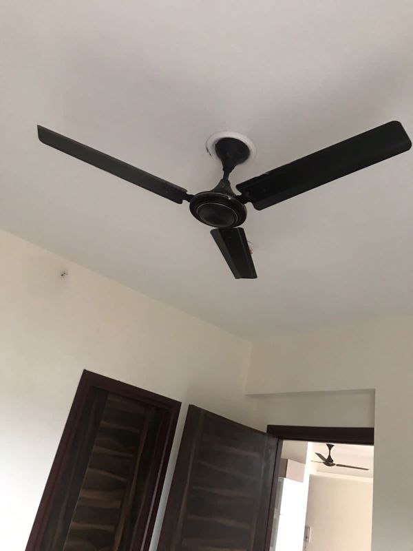 2 BHK + Pooja Room Apartment For Rent in Migsun Twinz