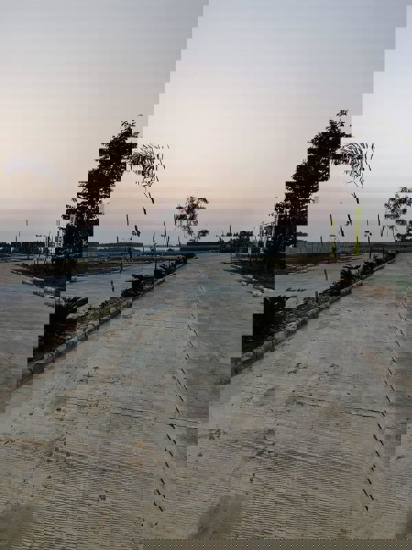 Plot Area in  Plot at Vadodara – for Sale