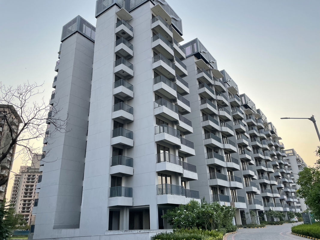 3 BHK 1600 Sq.Ft. Apartment in Hero Homes Gurgaon