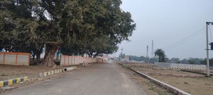 Plot Area in  Plot at Raebareli Road – for Sale
