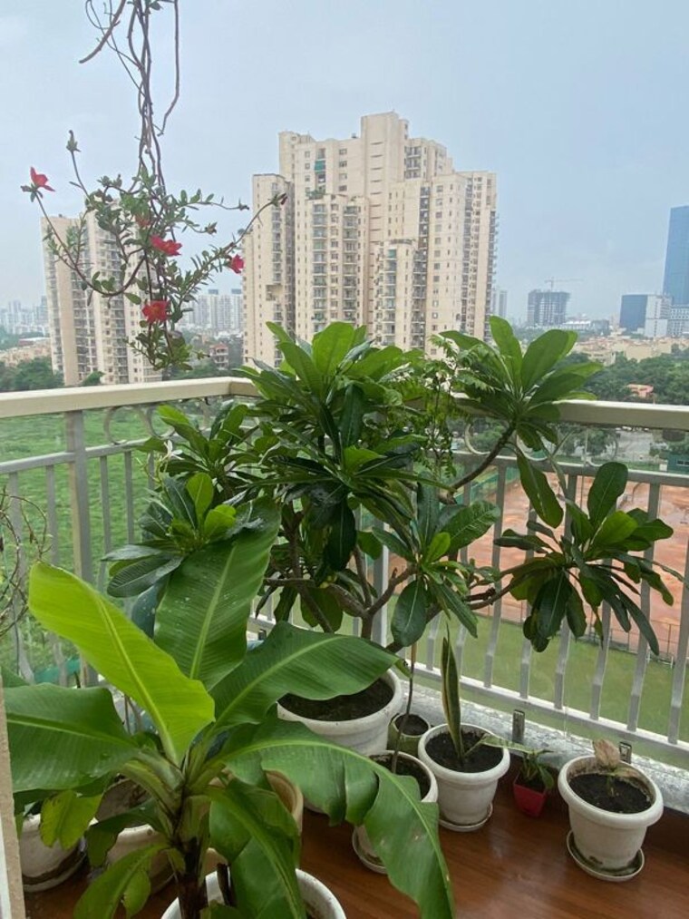Exterior View, ireo-skyon 3 Bedroom 2045 Sq.Ft. Apartment In Sector 60 Gurgaon 9967539