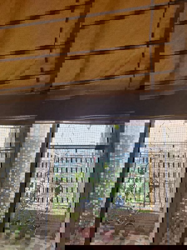 3 BHK 1496 Sq.Ft. Apartment in Rise Organic Homes