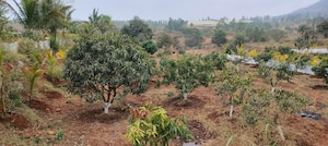  Plot For Sale in Kanhe