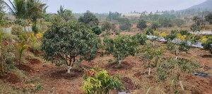  Plot For Sale in Kanhe