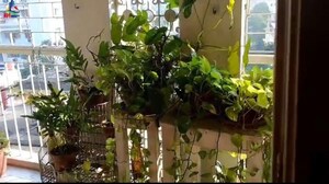 6 BHK Apartment – Garden View at Gariahat - for Sale