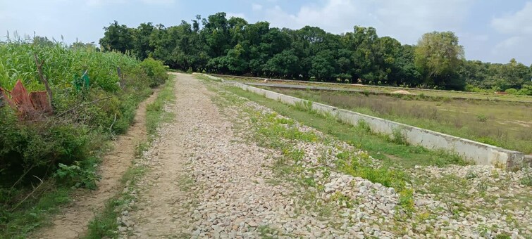 undefined, gomti nagar  1260 Sq.Ft. Plot In Gomti Nagar Lucknow 9969425