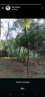2315 Sq.Ft. Plot in Mullanpur