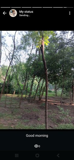 Plot For Sale in Mullanpur