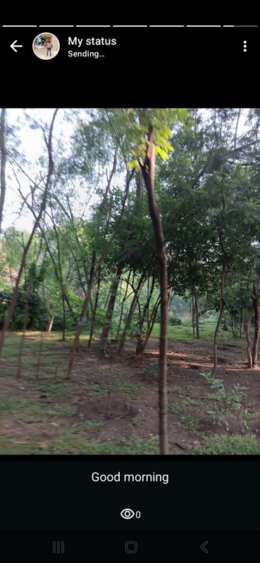 Plot For Sale in Mullanpur