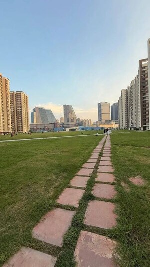 1 BHK Apartment – Garden View at Amrapali Dream Valley, Tech Zone 4 Greater Noida - for Rent