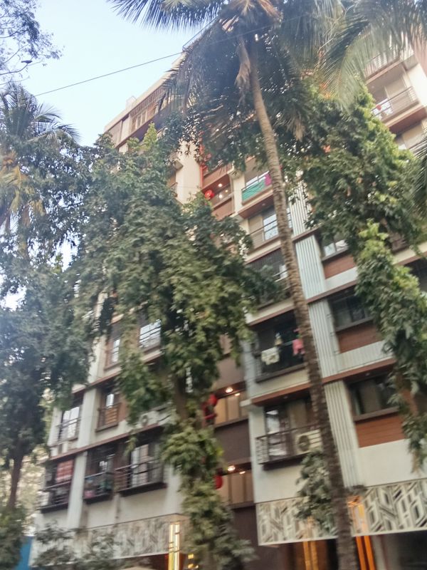 1 BHK Apartment For Rent in Pushpanjali CHS Borivali