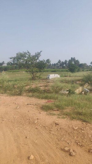  Plot For Sale in The Empyrean Phase II, Chikka Tirupathi