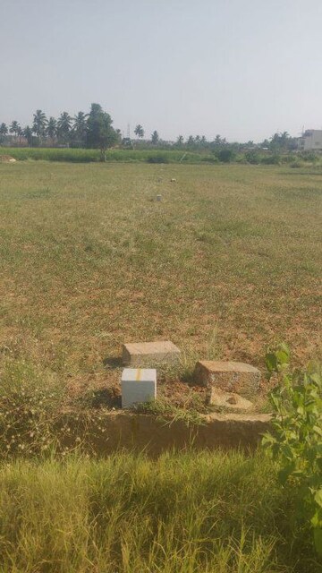 Plot Area in  Plot at The Empyrean Phase II, Chikka Tirupathi – for Sale
