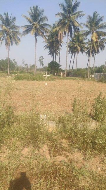 Plot Area in  Plot at The Empyrean Phase II, Chikka Tirupathi – for Sale