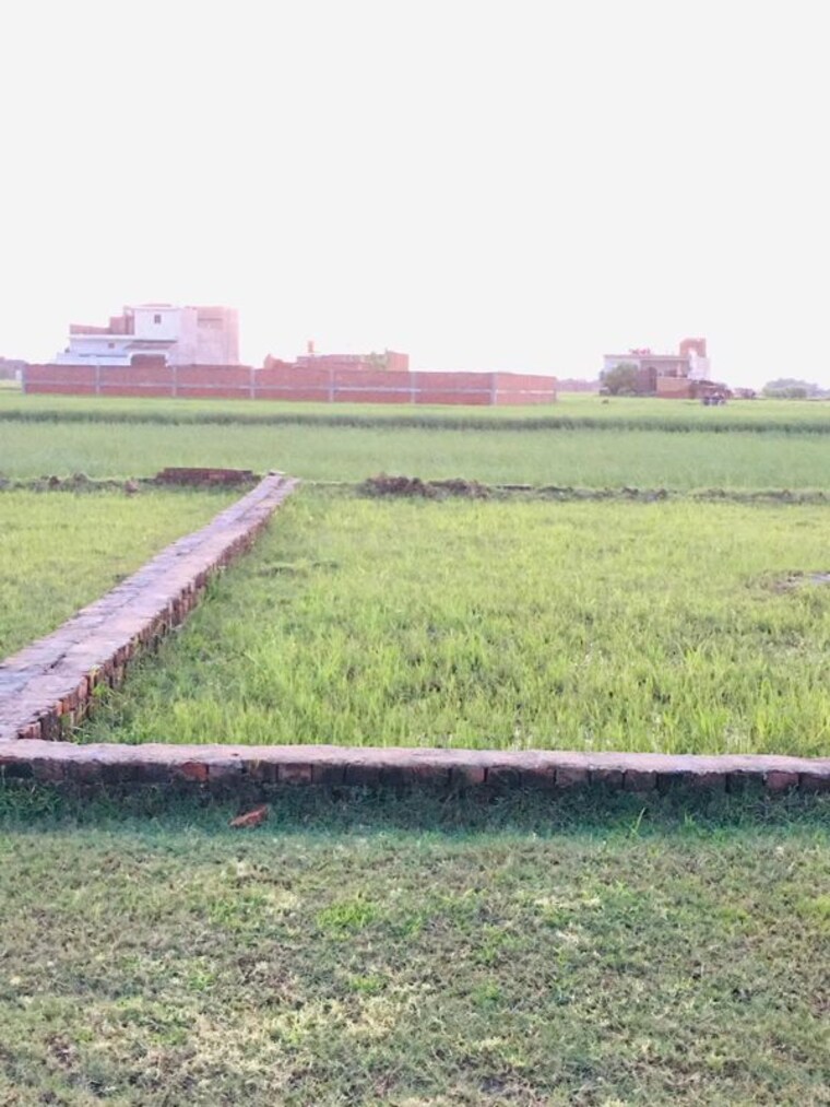 undefined, ramnagar  1257 Sq.Ft. Plot In Ramnagar Varanasi 9969904