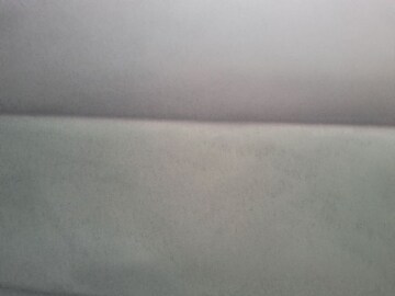 2 BHK Apartment For Rent in Sector 61