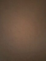 3 BHK 3500 Sq.Ft. Builder Floor in Sector 69