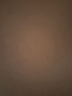 3 BHK Builder Floor For Rent in Sector 69