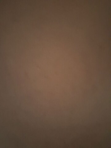 3 BHK Builder Floor For Rent in Sector 69