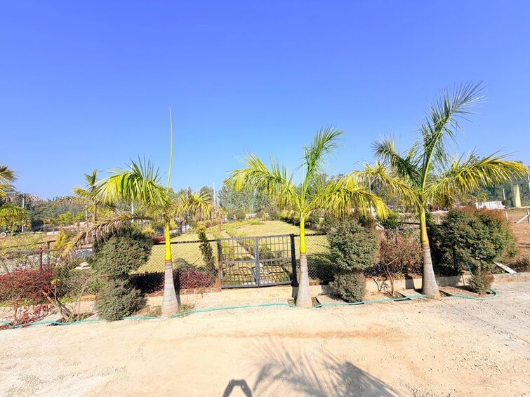 undefined, mohabbewala  206 Sq.Yd. Plot In Mohabbewala Dehradun 9970076