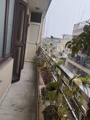 Balcony in 3 BHK Builder Floor at Rani Bagh – for Sale