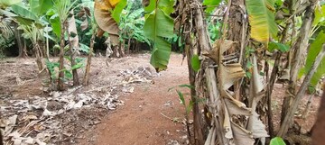  Plot – Exterior View View at Chembukkavu - for Sale