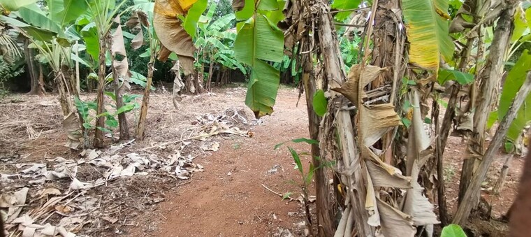 Exterior View, chembukkavu  6535 Sq.Ft. Plot In Chembukkavu Thrissur 9970311