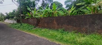 Plot Area in  Plot at Chembukkavu – for Sale