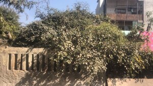  Plot – Exterior View View at Alpha 1 Greater Noida - for Sale