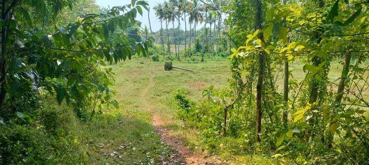 Garden, kaiparambu jn  36154 Sq.Ft. Plot In Kaiparambu jn Thrissur 9970378