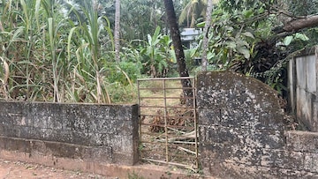 Plot Area in  Plot at Viyyur – for Sale