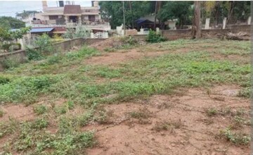  Plot For Sale in Sector 76