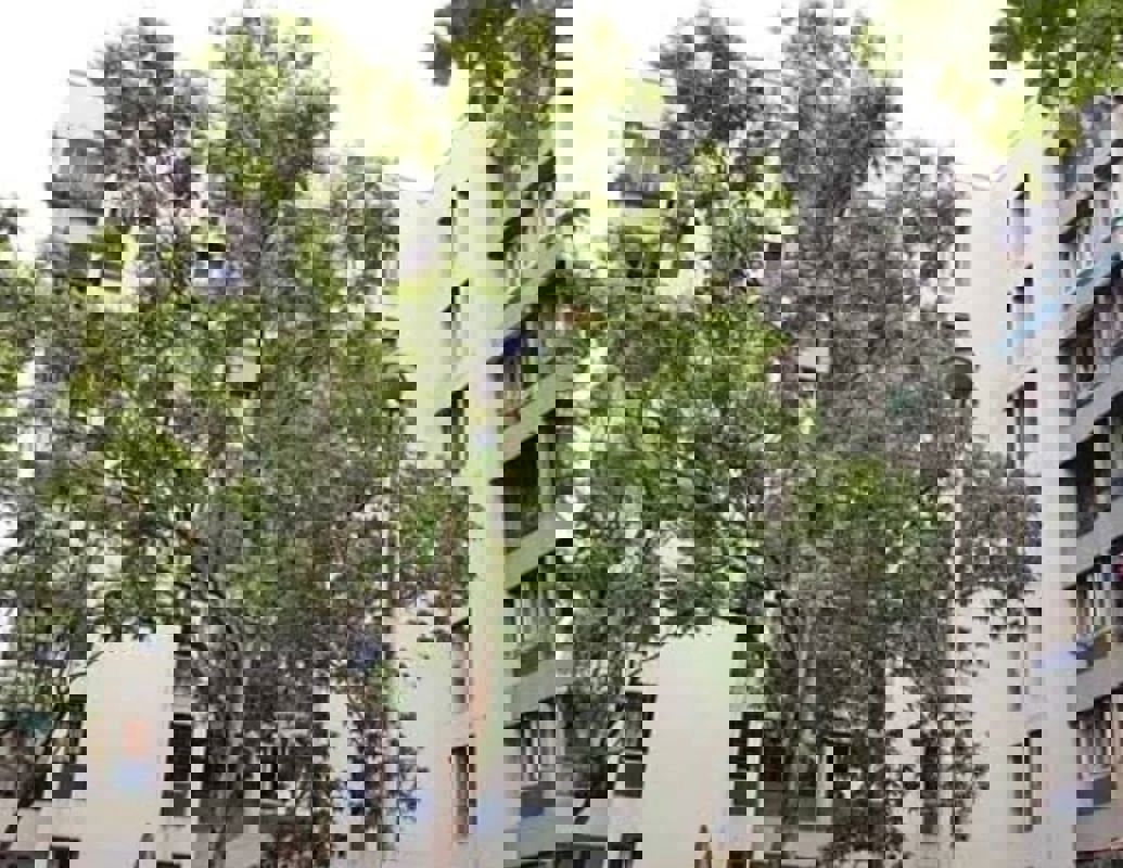 2 BHK + Pooja Room,Study Room 850 Sq.Ft. Apartment in Triveni Vasant Vihar CHS