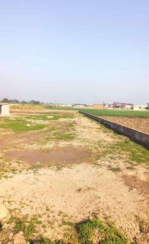 Plot For Sale in Sector 85