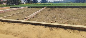 Plot Area in  Plot at Motiram Adda – for Sale