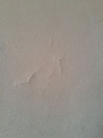 3 BHK Builder Floor For Rent in Sector 68