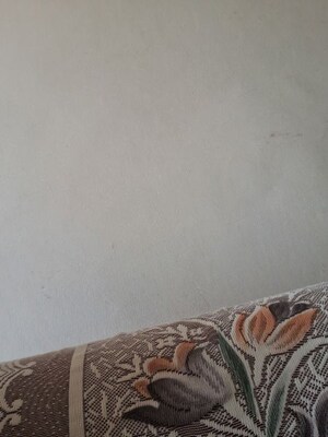 3 BHK Builder Floor For Rent in Sector 71