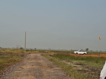 Plot Area in  Plot at Kaliawas – for Sale