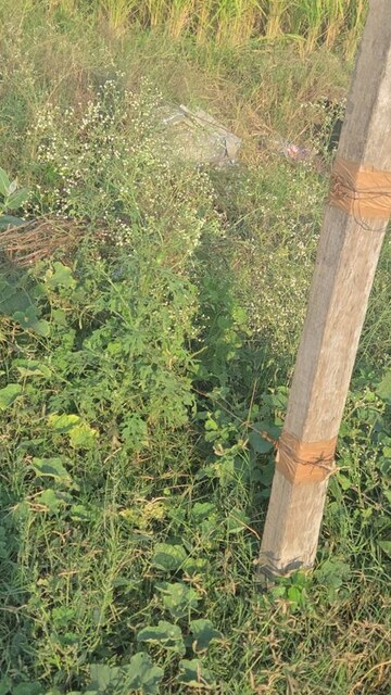  Land – Garden View at Laxmi Land City, Mirpur Hindu - for Sale