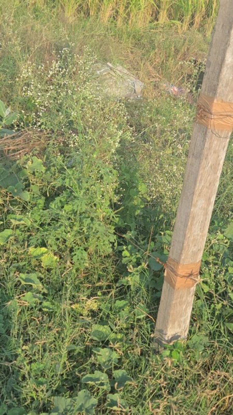 Garden, laxmi-land-city Commercial Land 4500 Sq.Yd. In Mirpur Hindu Ghaziabad 9970863