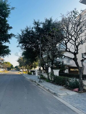 3.5 BHK Builder Floor For Sale in DLF Hyde Park, South Mullanpur