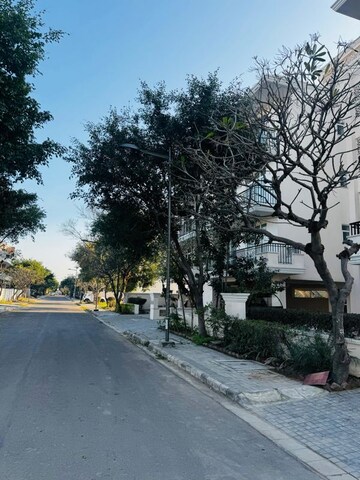 3.5 BHK Builder Floor For Sale in DLF Hyde Park, South Mullanpur