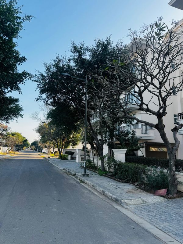 3.5 BHK + Extra Room Builder Floor For Sale in DLF Hyde Park