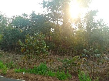 Plot Area in  Plot at Chirner – for Sale