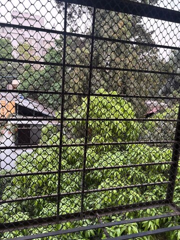 1 BHK Apartment – Exterior View View at Viman Nagar - for Rent