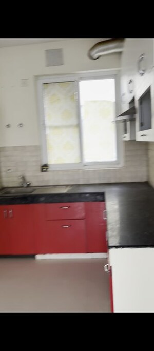 Kitchen in 3 BHK Builder Floor at BPTP Parkland Pride, Sector 77 – for Rent